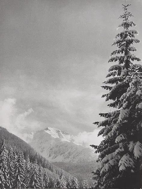 NN NN, Pejzaż górski