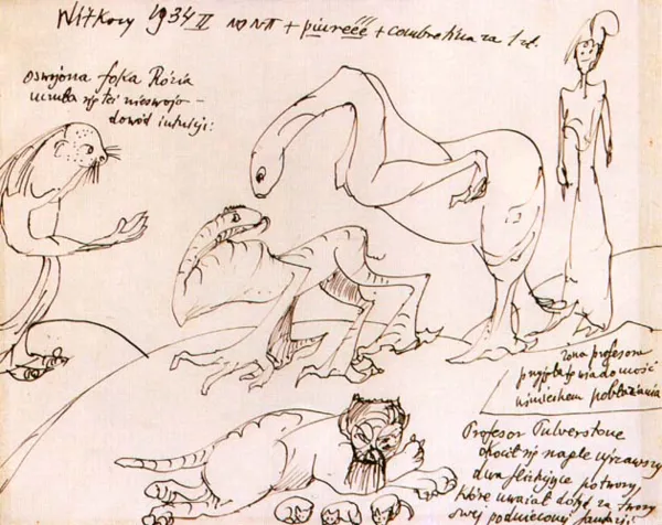 Stanisław Ignacy Witkiewicz, Oswojona foka Ruzia...