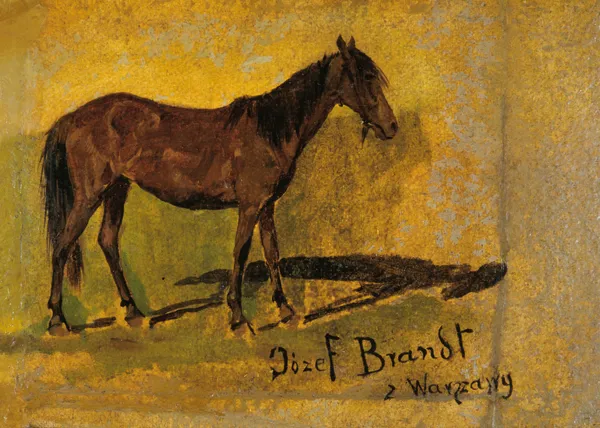 Józef Brandt, Studium konia