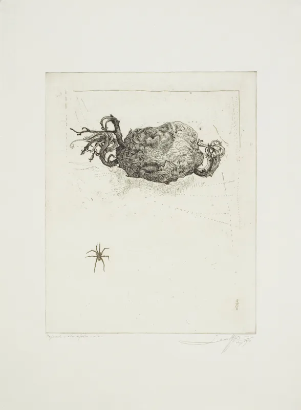 Leszek Rózga, Pajączek, 1973