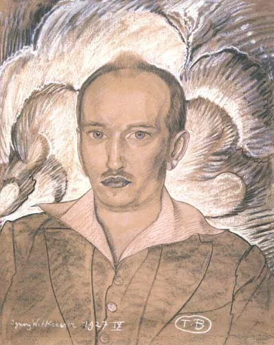 Stanisław Ignacy Witkiewicz, Portret męski