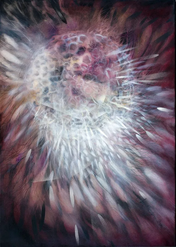 Mariola Świgulska, Sny o kosmosie