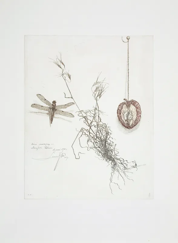 Leszek Rózga, DZIEŃ WCZORAJSZY, 1975