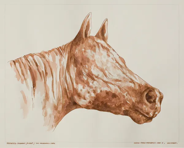 Zdzisław Otello Horodecki, Przywódca stadniny Polska, 2010