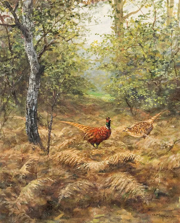 Georg (George) Majewicz, BAŻANTY WŚRÓD PAPROCI 