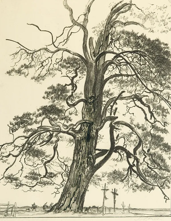 Leon Wyczółkowski, SOSNA I MOGIŁY, 1916-1919