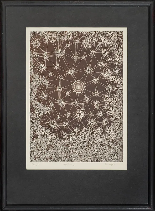 Jerzy Znamierowski, Genesis VII