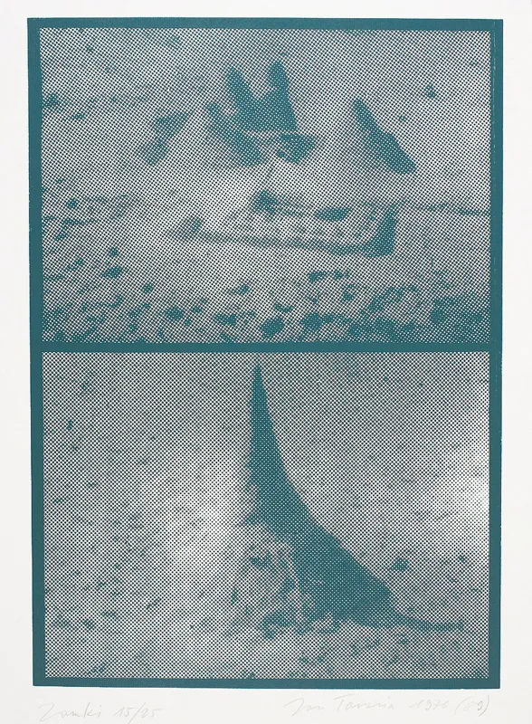 Jan Tarasin, Zamki, 1976-1989