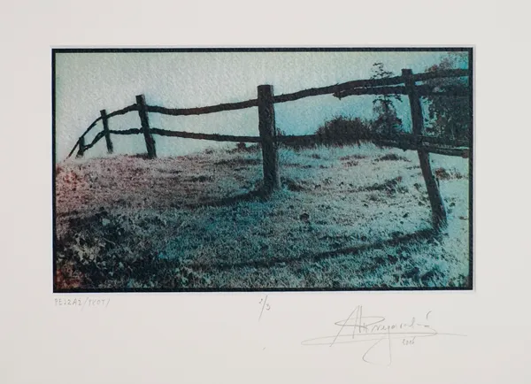 NN NN, Pejzaż (Płot), 2006