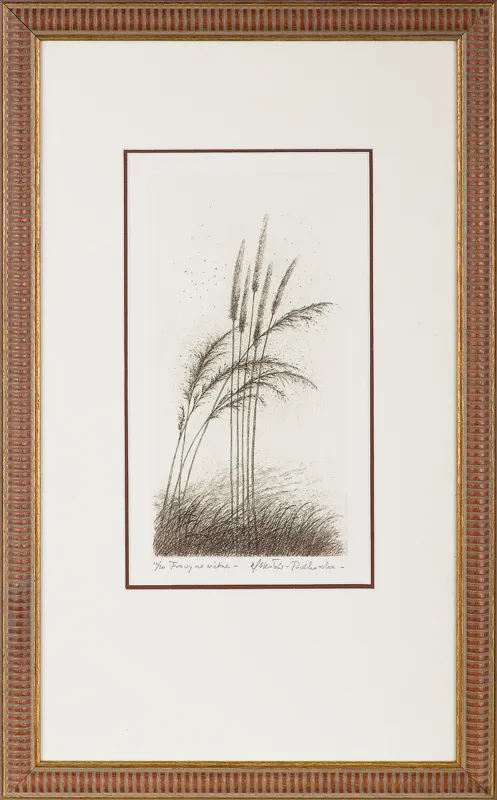 Maria Okołów-Podhorska, Trawy na wietrze