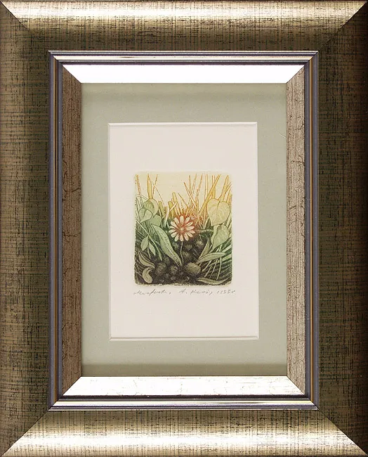 Adam  Kwaśny, Łąka, 1993