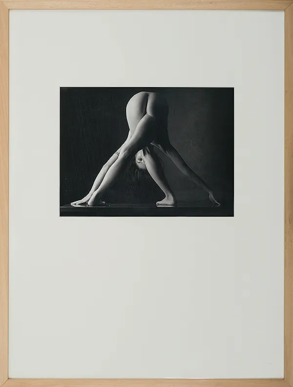 Wacław  Wantuch, Akt, 2005 