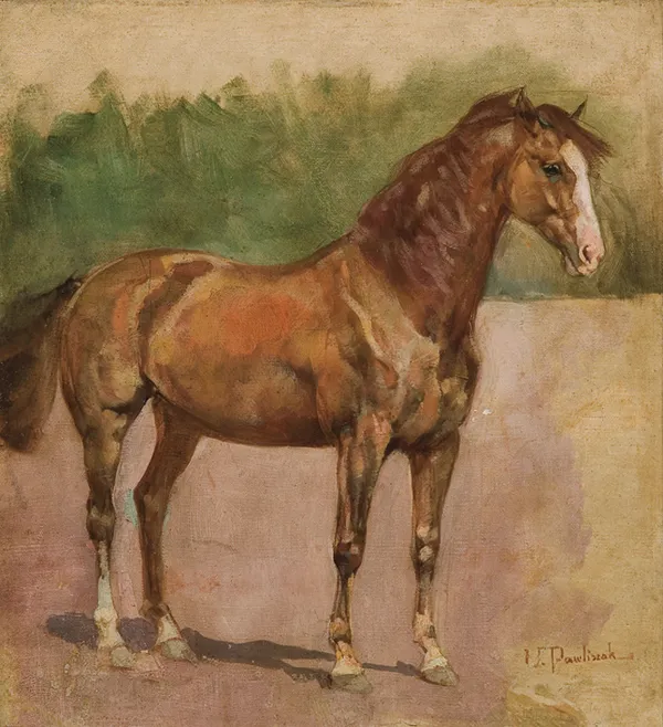 Wacław Pawliszak, GNIADY KONIK