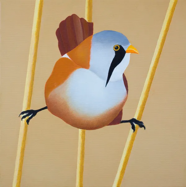 Antoni Janusz Wojnarowski, WĄSATKA, 2016