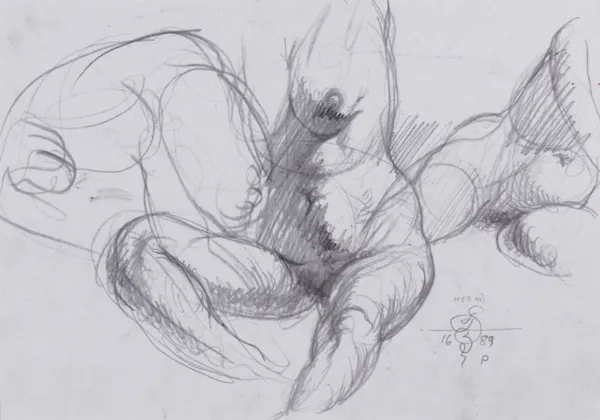 Franciszek Starowieyski, Akty, 1989