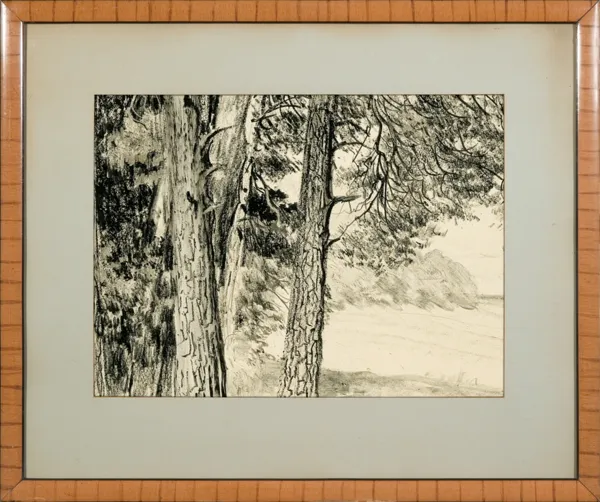 Leon Wyczółkowski, SOSNY, 1921-1924