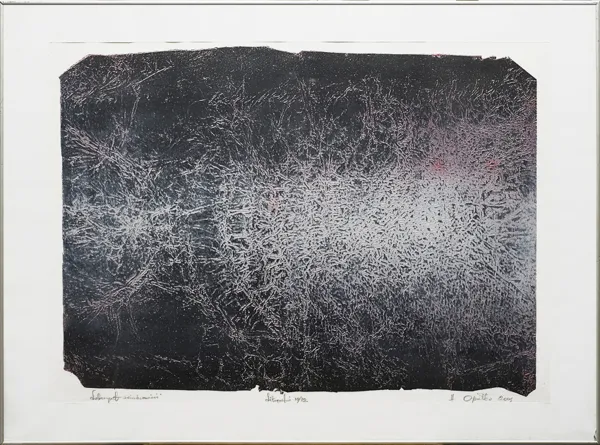 Henryk  Opałka, Labirynt świadomości, 2001