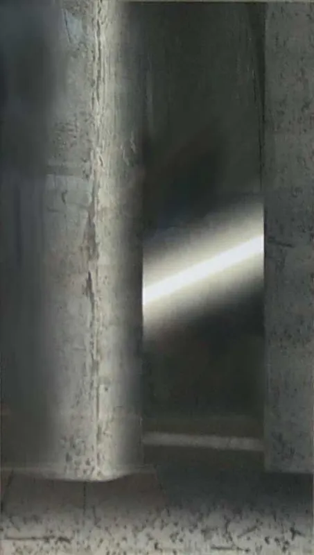 Ewa Zawadzka, Black Landscape II