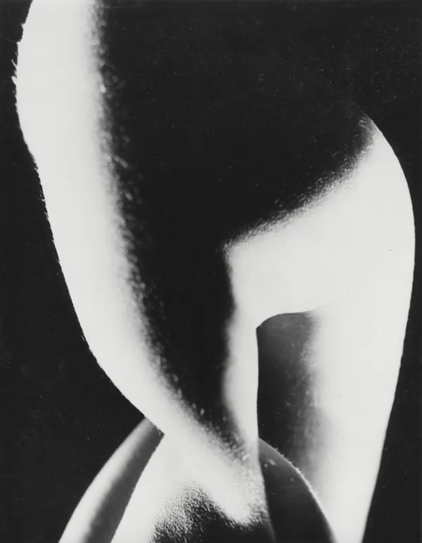 Zbigniew  Łagocki, Akt z cyklu Poliformia