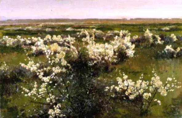 Piotr Stachiewicz, Rozkwitłe ciernie - pejzaż z krzakiem tarniny