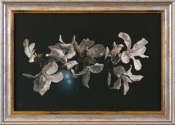 Maciej Cichocki, MAGNOLIE, 2013
