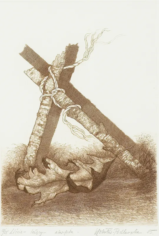 Maria Okołów-Podhorska, LIŚCIE - LEŻĄCY, 1985