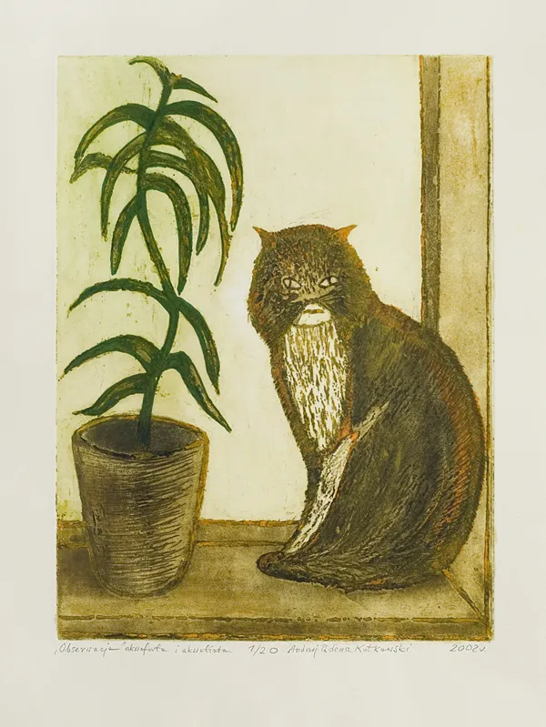 Andrzej Tadeusz  Kotkowski, Obserwacja, 2002