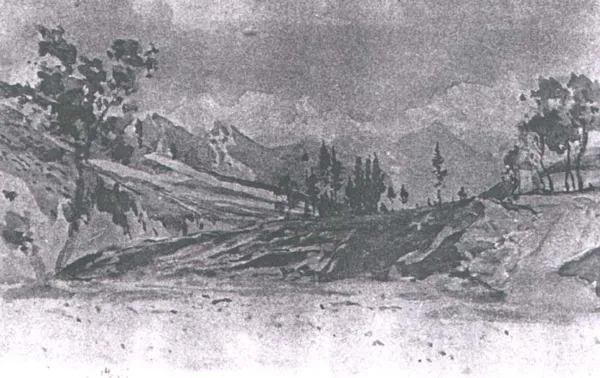 Wojciech Gerson, Bukowina