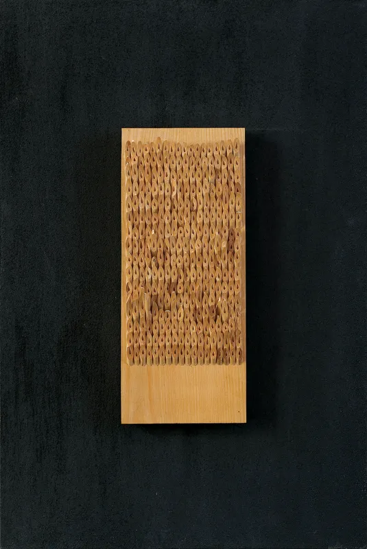 Andrzej Szewczyk, Z CYKLU ERIC SATIE, ok. 1993