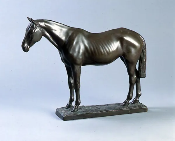 Gustav Freiherr  Von Bechtolsheim, Koń, 1906