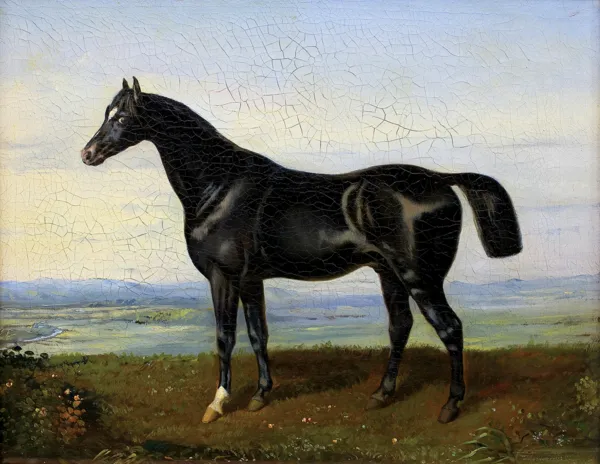 Józef Jaroszyński, KARY KOŃ