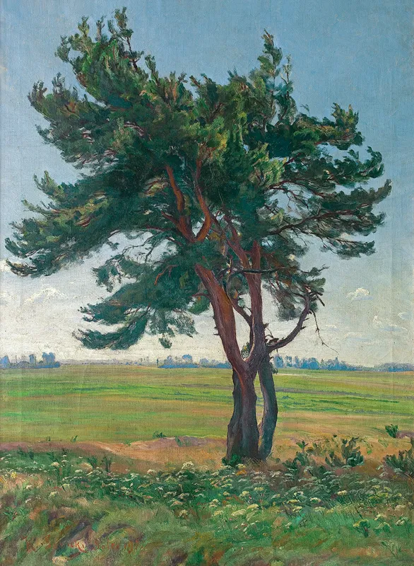 Kazimierz Lasocki, SAMOTNA SOSNA, 1927