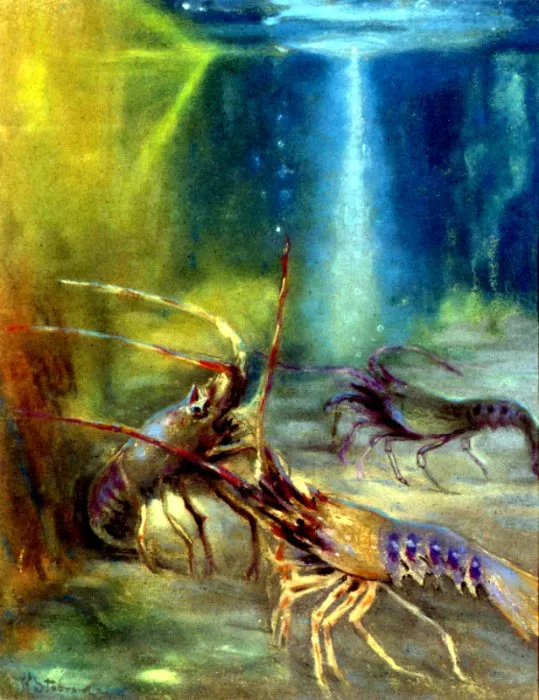 Kazimierz Stabrowski, Langusty, 1913