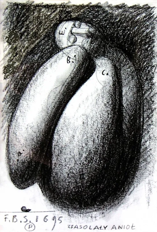 Franciszek Starowieyski, Zfasolały anioł, 1995