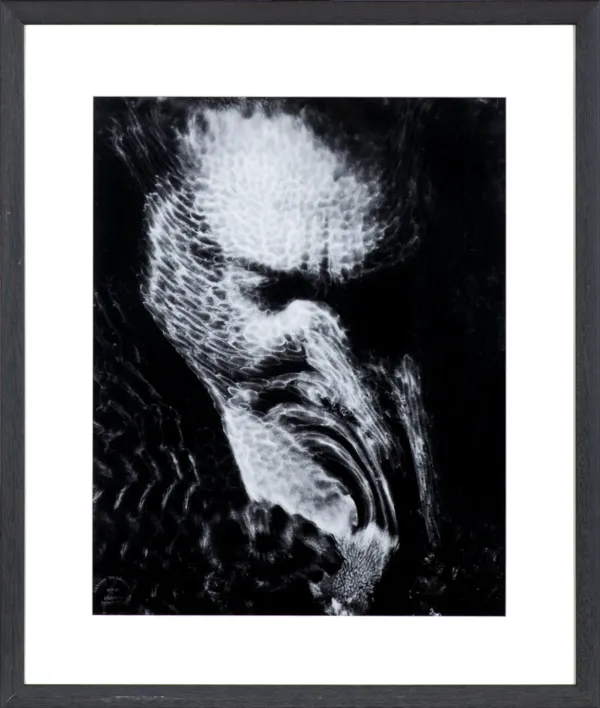 Zdzisław Beksiński, BEZ TYTUŁU