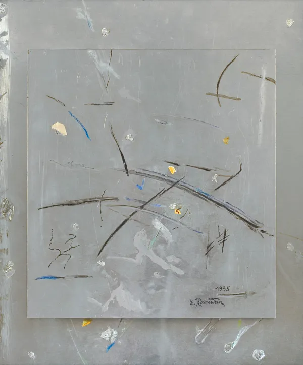 Erna Rosenstein, TAŃCZĄ GWIAZDY, 1995