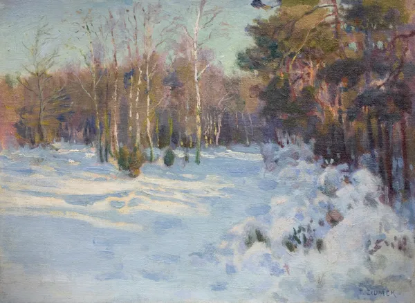 Teodor Ziomek, LAS W ŚNIEGU