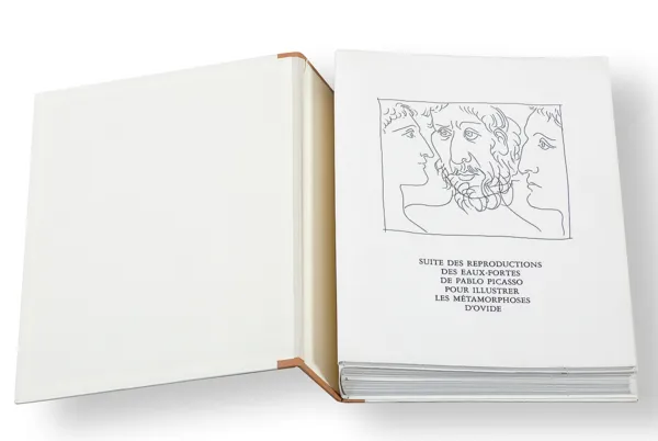 Pablo Picasso, Metamorfozy