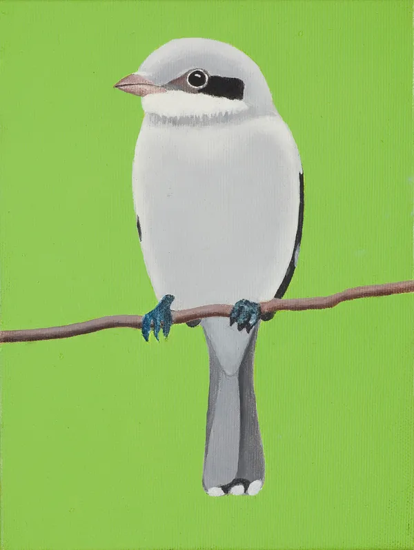 Antoni Janusz Wojnarowski, Srokosz, 2018