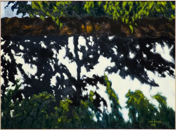 Jacek Barszcz, CIENIE NA MURZE, 2018-2019