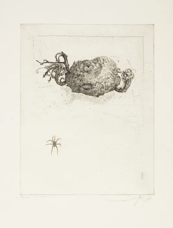 Leszek Rózga, PAJĄCZEK, 1973