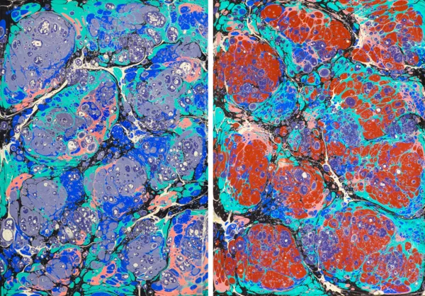 Marta Puchłowska, PARA BATTAL EBRU, 2019