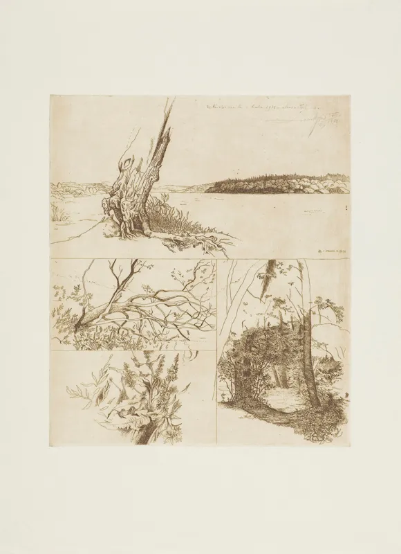 Leszek Rózga, SZKICOWNIK Z LATA 1978, 1978