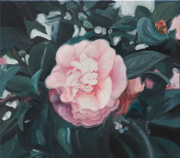 Andrzej Roszczak, POLA NEGRI