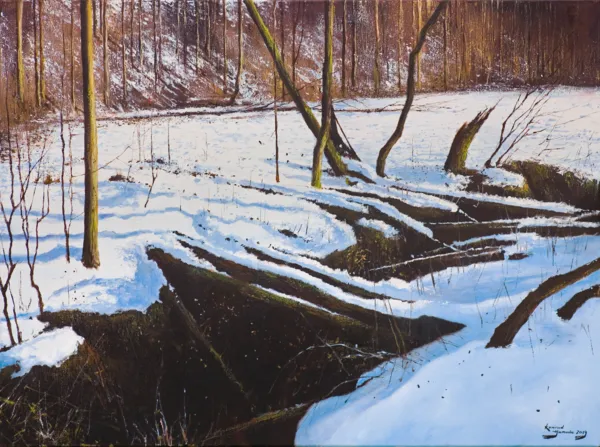 Konrad Hamada, PIERWSZY ŚNIEG, 2019