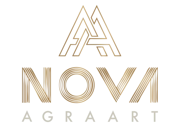 Iwona Golor, OBIEKT WYCOFANO Z AUKCJI