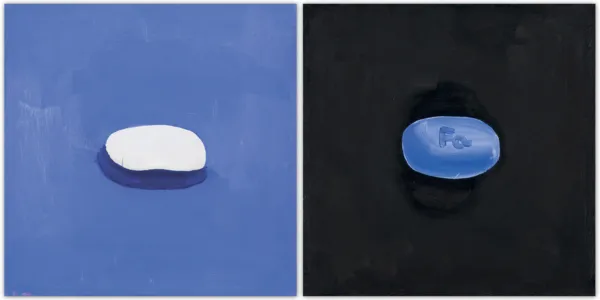 Rafał Bujnowski, Dyptyk: MYDŁO, 2000