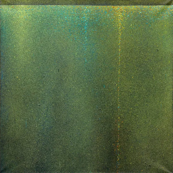 Rafał Kapica, ODBICIE GWIAZD W LEŚNYM JEZIORZE, 2019