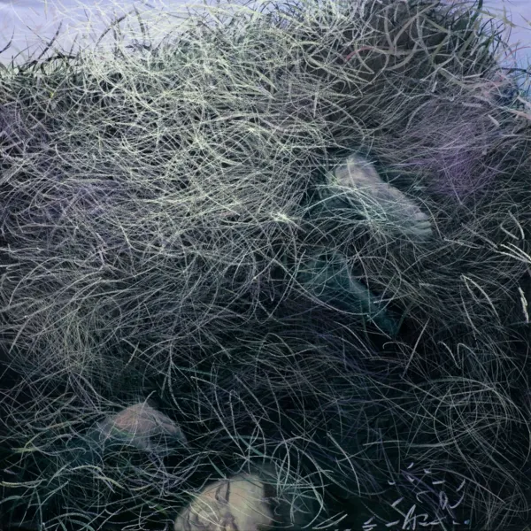 Aleksandra Brodzińska, Szum III, 2020