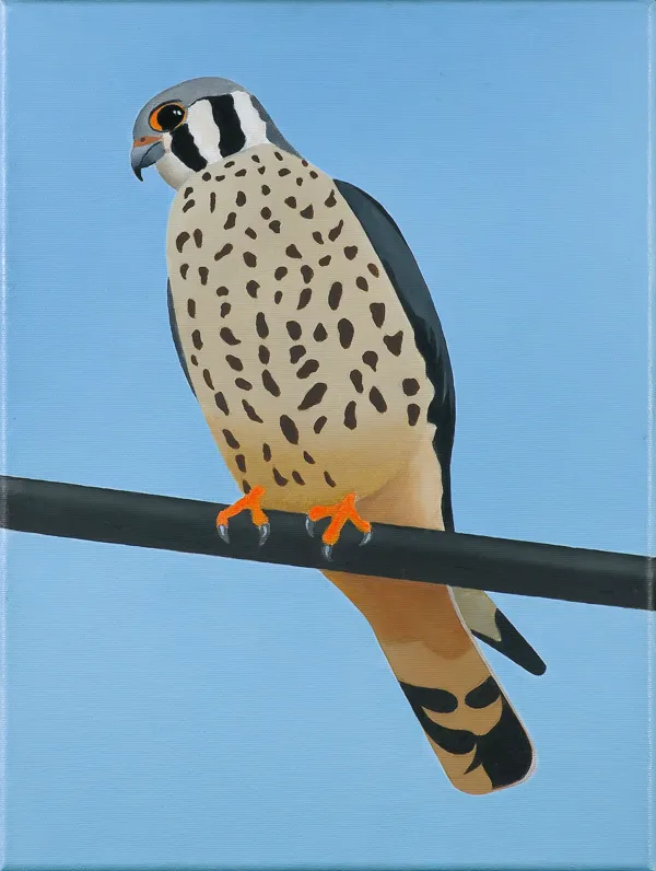 Antoni Janusz Wojnarowski, PUSTUŁKA, 2019